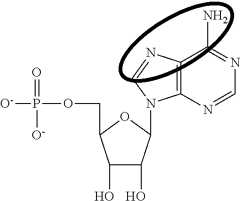 Figure US09061059-20150623-C00091