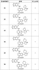 Figure GDA0003379855500003931