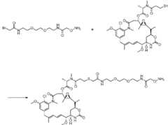 Figure imgf000030_0001