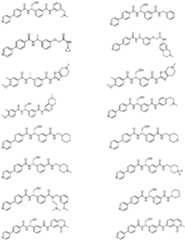 Figure imgf000016_0001