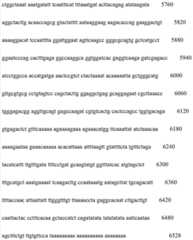 Figure IDA0000489409100000661