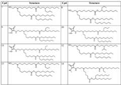 Figure imgf000023_0004