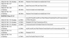 Figure imgf000032_0001