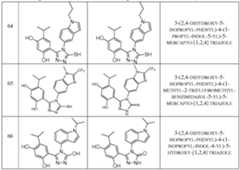 Figure imgf000039_0001