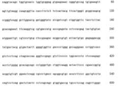 Figure 108117572-A0202-12-0329-284