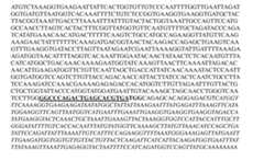 Figure imgf000707_0002