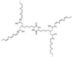 Figure imgf000055_0002