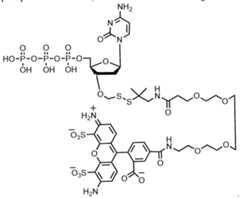 Figure imgf000243_0001