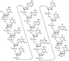 Figure BDA0002976854330000521