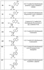 Figure imgf000033_0001