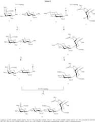 Figure US08604004-20131210-C00133