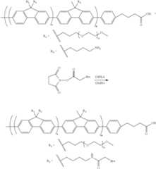 Figure US09547008-20170117-C00124