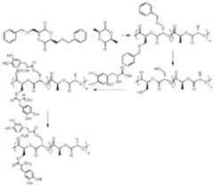 Figure imgf000016_0001