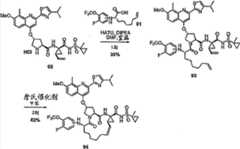 Figure BDA00001685001202611