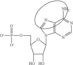 Figure US09572897-20170221-C00086