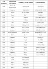 Figure imgf000067_0001