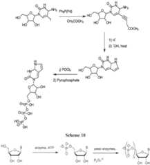 Figure imgf000705_0001
