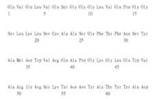 Figure 106103580-A0305-02-0380-326