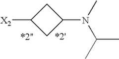 Figure US07521457-20090421-C00934