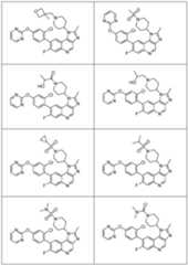 Figure imgf000010_0001