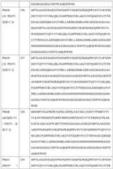 Figure BDA0004113681710001711