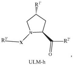 Figure BDA0003027048450001261