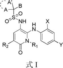 Figure BDA0000111856220000021