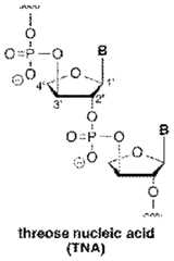 Figure imgf000036_0001