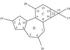 Figure US10722484-20200728-C00003