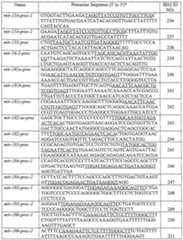 Figure imgf000024_0001