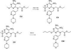 Figure BDA0000075082050001662