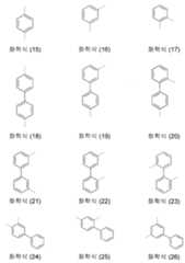 Figure 112015122923098-pat00019