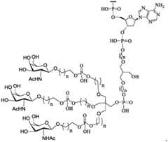 Figure BDA0003018192690001611