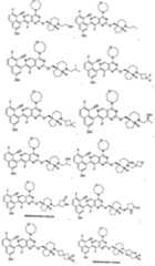 Figure imgf000373_0001