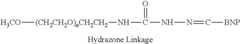 Figure US08449872-20130528-C00122