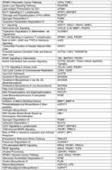 Figure imgf000096_0001