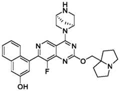 Figure PCTCN2022124111-appb-000240