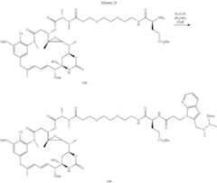 Figure US12076411-20240903-C00044