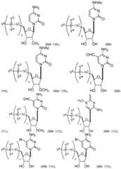 Figure imgf000077_0001