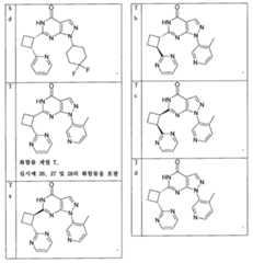 Figure 112013003750924-pct00029