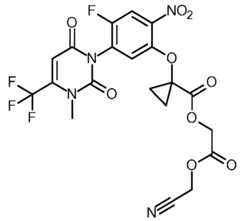 Figure imgf000056_0001