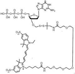 Figure imgf000251_0002