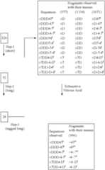 Figure US07083937-20060801-C00001