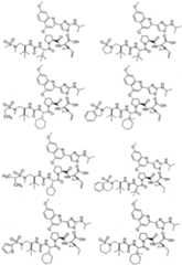 Figure imgf000143_0001