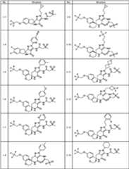 Figure JPOXMLDOC01-appb-T000109