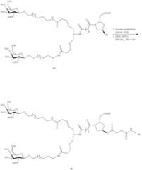 Figure US09957292-20180501-C00249