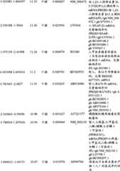 Figure BPA00001280678301721