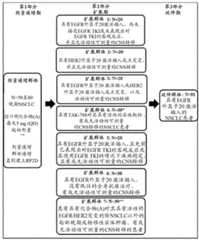 Figure BDA0002850898530000981