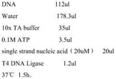 Figure PCTCN2014087589-appb-000010