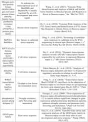 Figure PCTCN2022090268-appb-000017